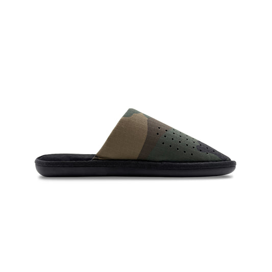 RECOVERY SLIDES (CAMO)